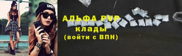 Альфа ПВП Новодвинск