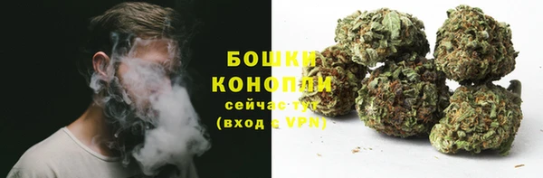 PSILOCYBIN Белоозёрский