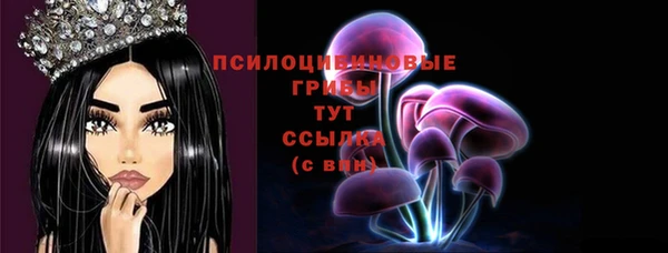 ГАЛЛЮЦИНОГЕННЫЕ ГРИБЫ Покачи