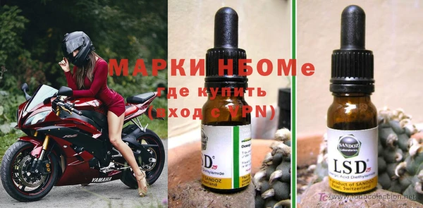 Альфа ПВП Новодвинск