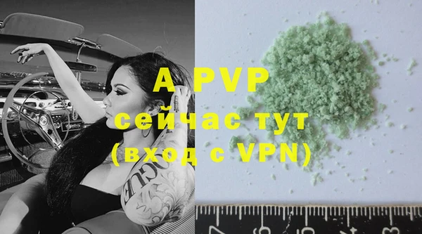 Альфа ПВП Новодвинск