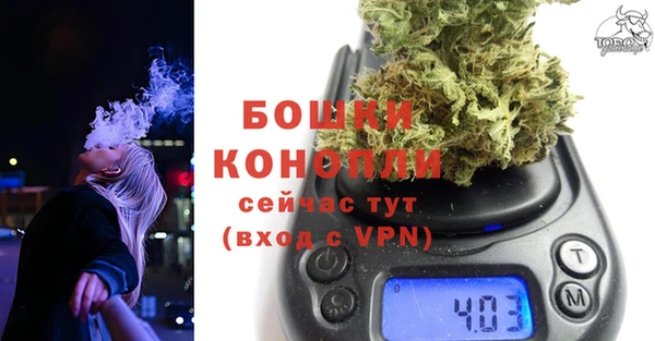 Альфа ПВП Новодвинск
